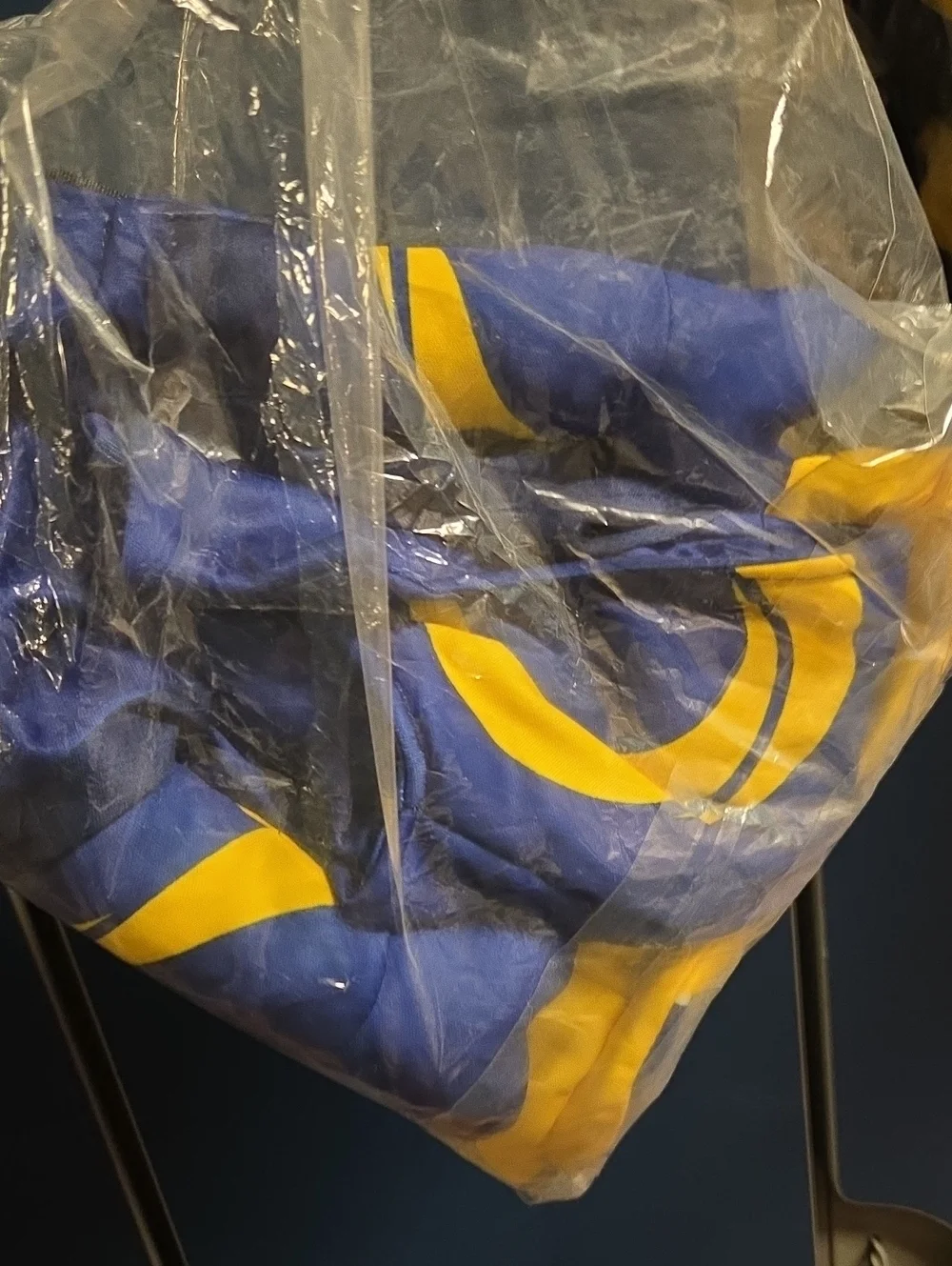 NFL LA RAMS -Inspired Dog Hoodie Costume